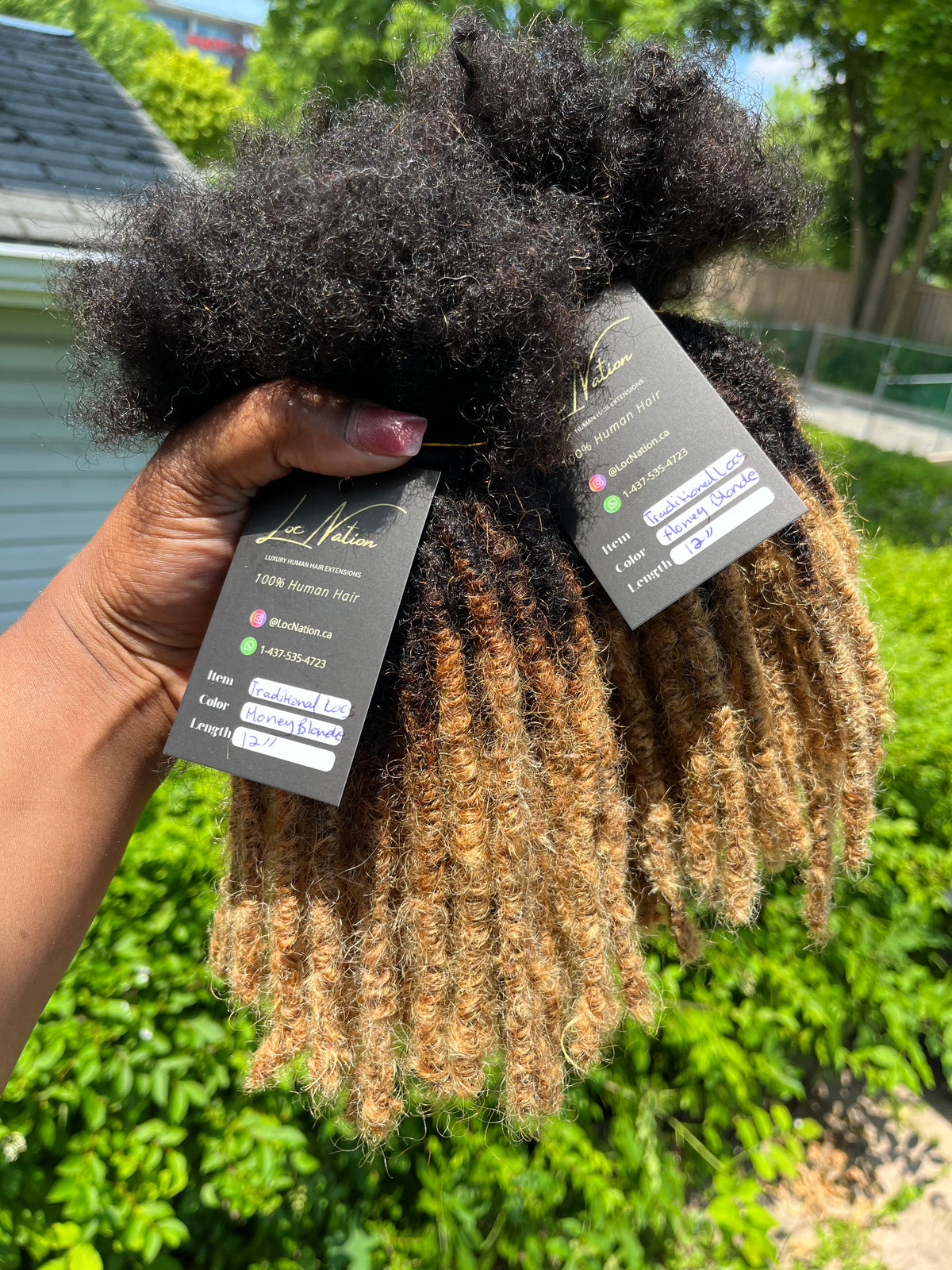 Traditional Locs (100 Strands)