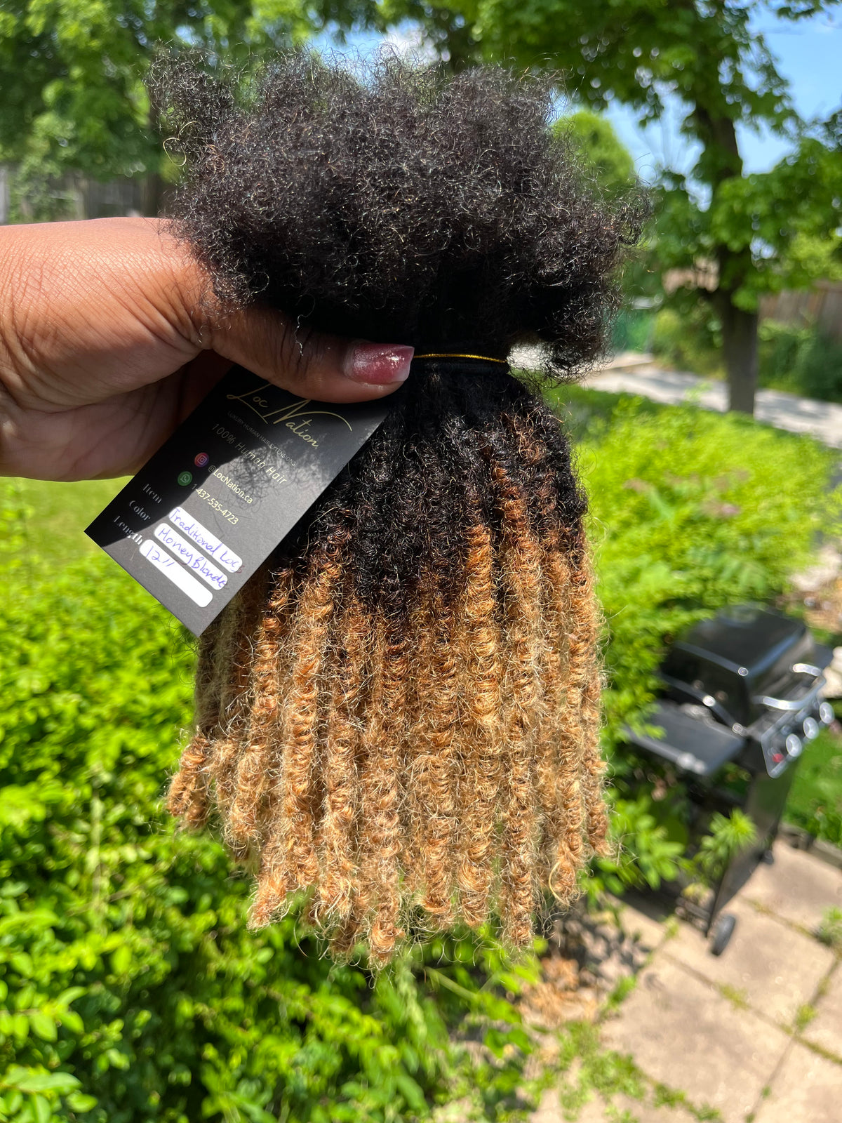 Traditional Locs (100 Strands)