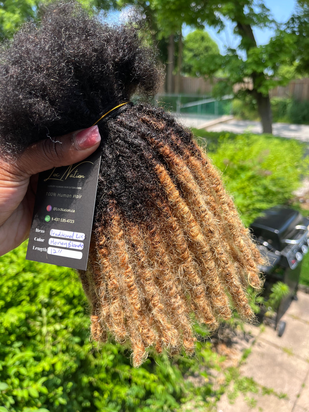 Traditional Locs (100 Strands)