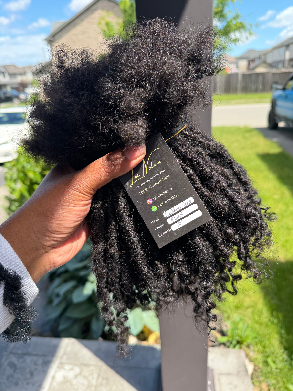 Goddess Locs (80 Strands)